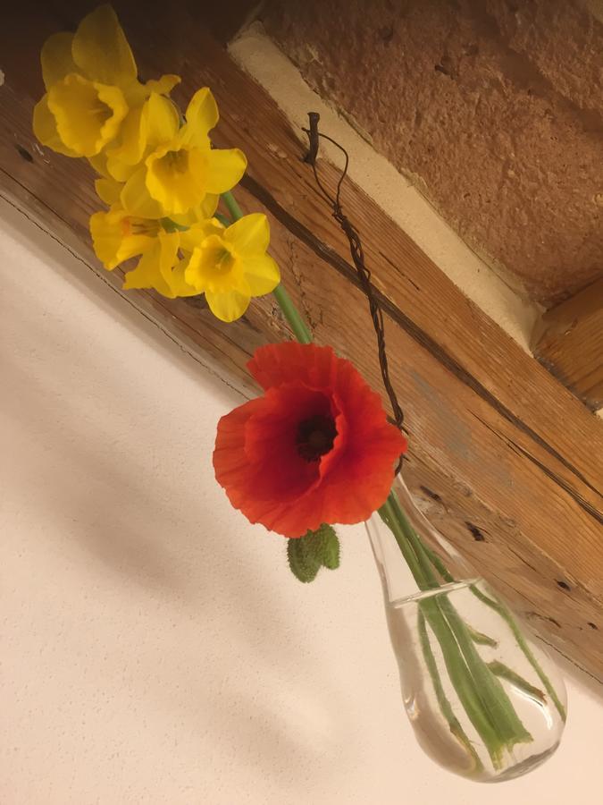 이에시 Tabano Ristorante-Casolare B&B 외부 사진